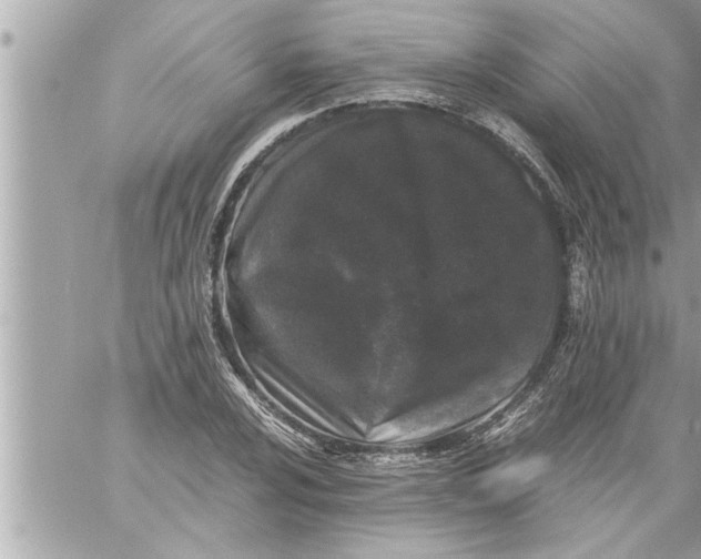 X0000059851024200511111805