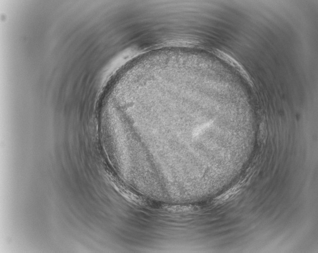 X0000059851027200511111805