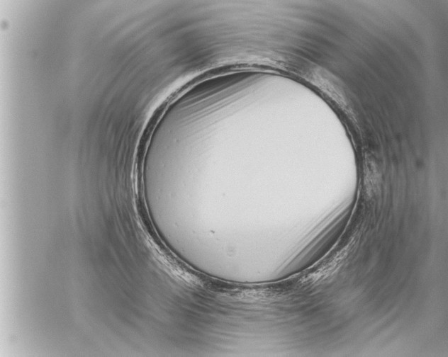 X0000059851028200511111805