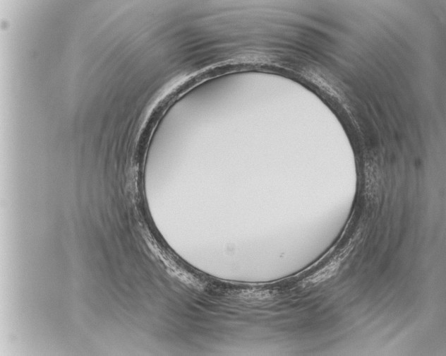 X0000059851029200511111805