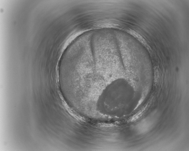 X0000059851031200511111805