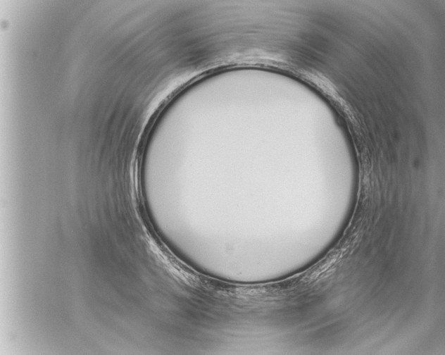 X0000059851032200511111805