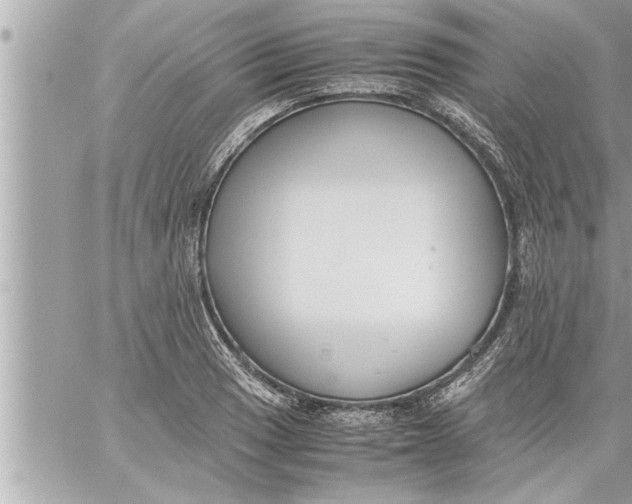 X0000059851033200511111805