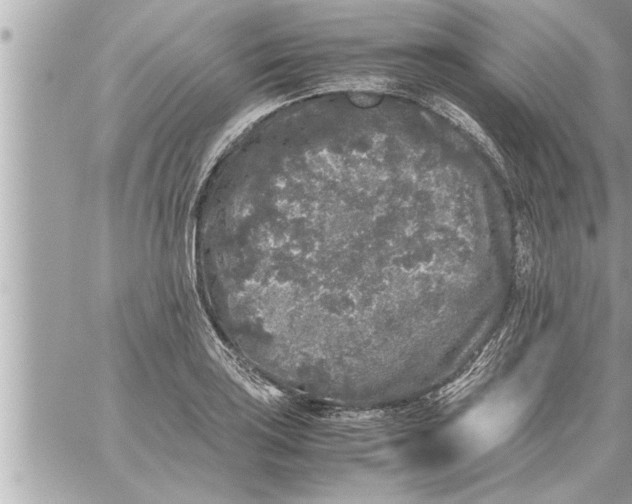 X0000059851035200511111806