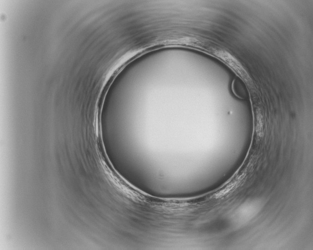 X0000059851036200511111806