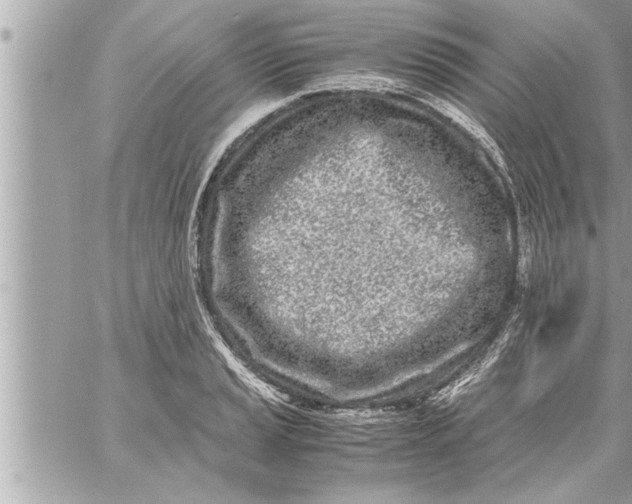 X0000059851037200511111806