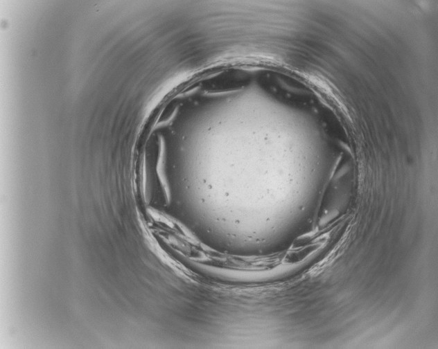 X0000059851038200511111806