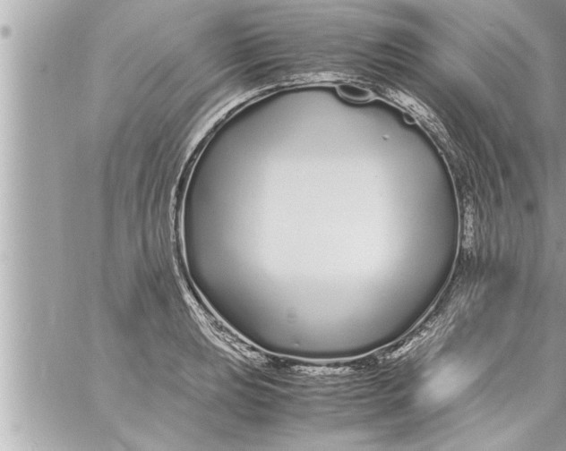 X0000059851039200511111806