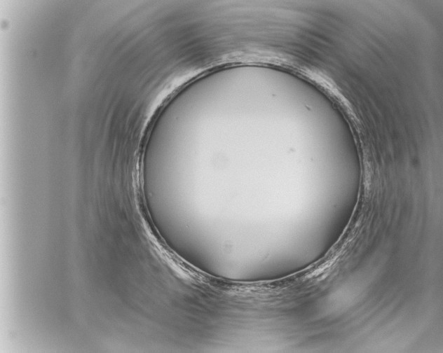 X0000059851040200511111806