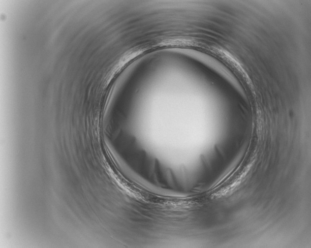 X0000059851041200511111806