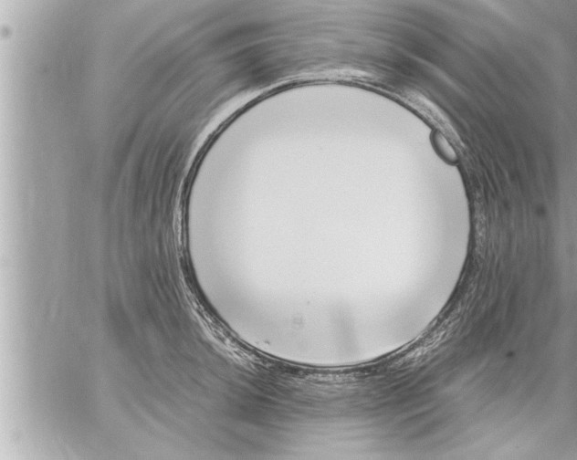 X0000059851044200511111806