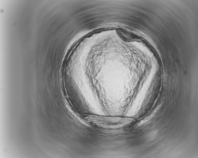 X0000059851045200511111806