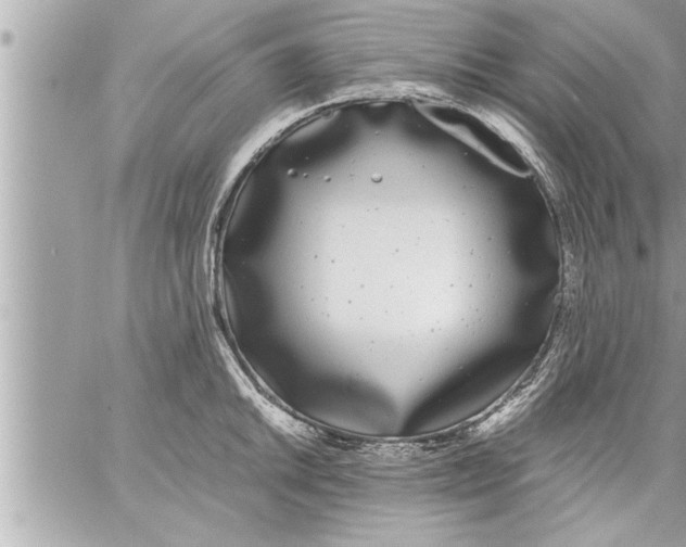 X0000059851046200511111806