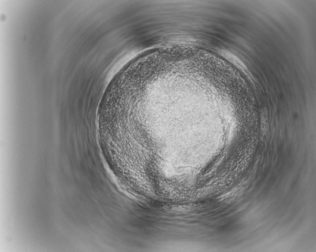 X0000059851047200511111806