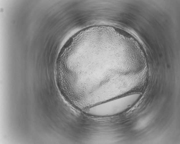 X0000059851048200511111806