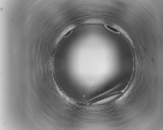 X0000059851049200511111806