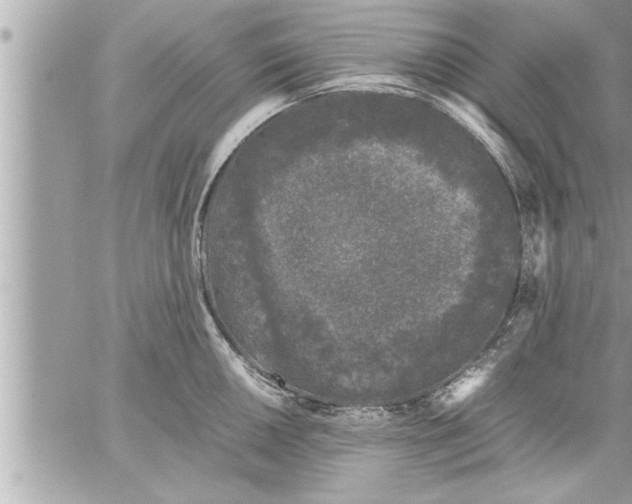 X0000059851050200511111806