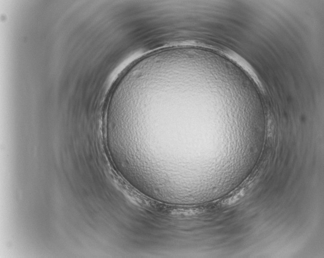 X0000059851051200511111806