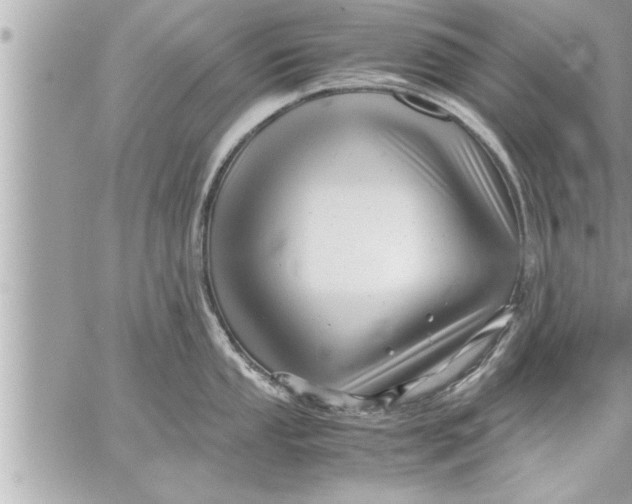 X0000059851053200511111806