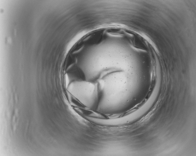 X0000059851054200511111806