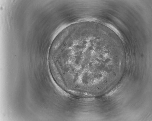 X0000059851055200511111806