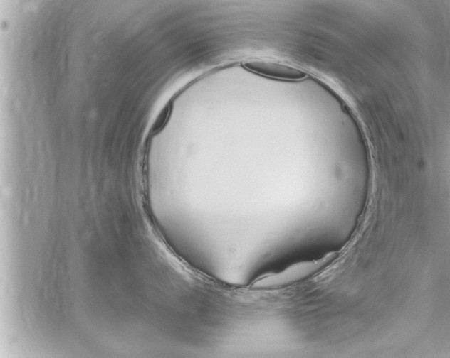 X0000059851056200511111806