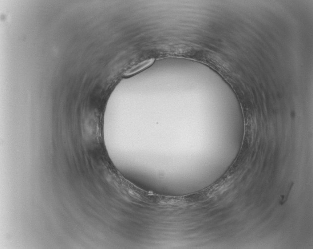 X0000059851058200511111805