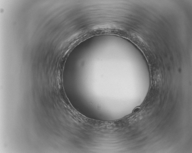 X0000059851062200511111805