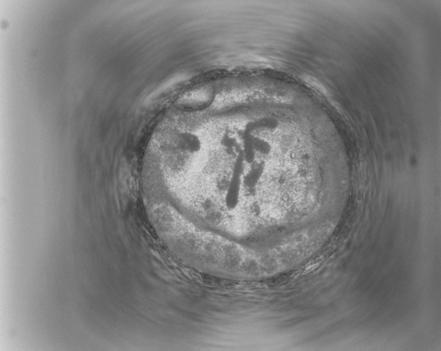 X0000059851063200511111805