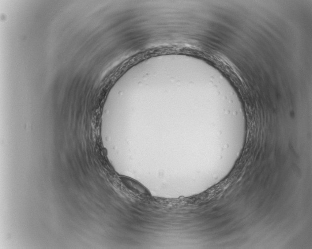 X0000059851064200511111805