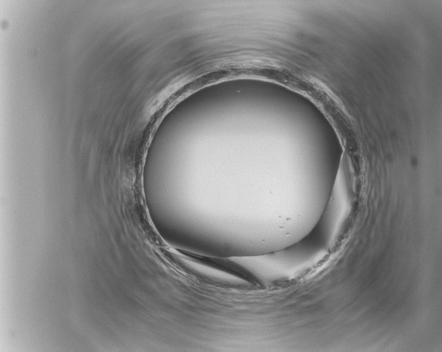 X0000059851065200511111805