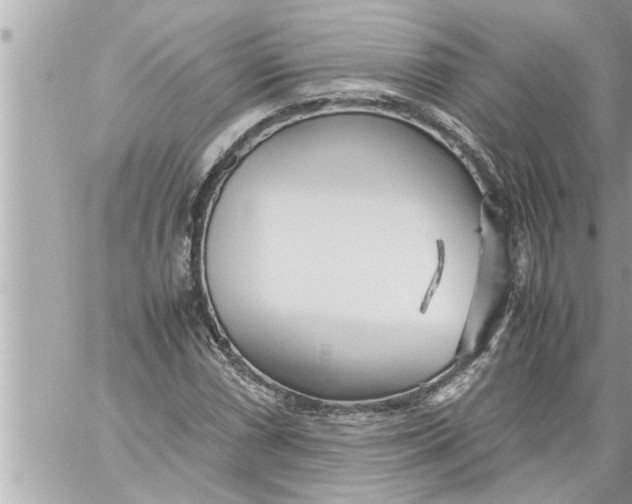 X0000059851066200511111805