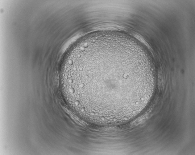 X0000059851067200511111805