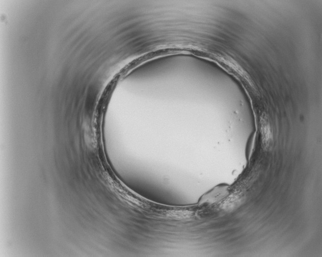 X0000059851068200511111805