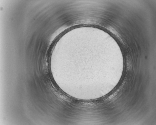 X0000059851070200511111805