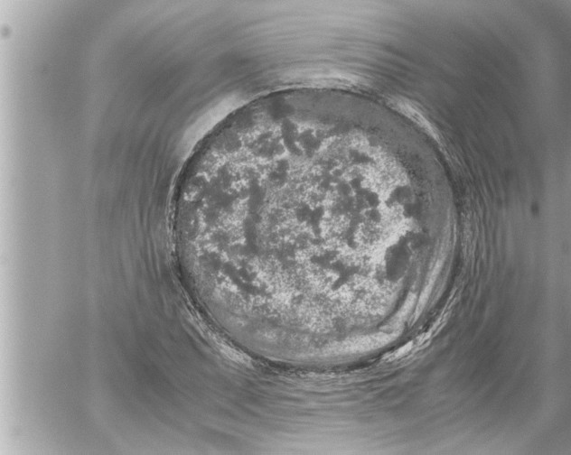 X0000059851071200511111805