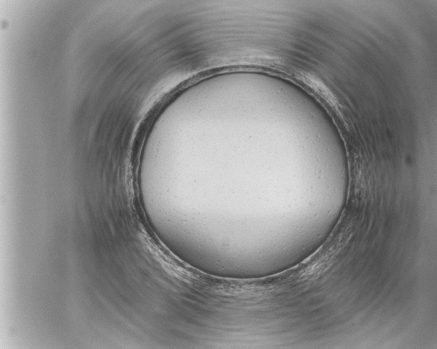 X0000059851072200511111805