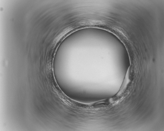 X0000059851073200511111805