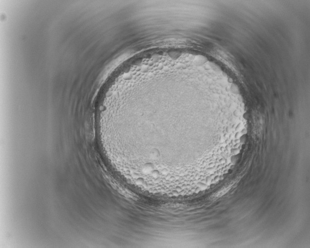 X0000059851075200511111805