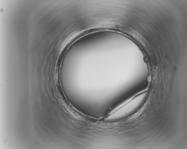 X0000059851077200511111805