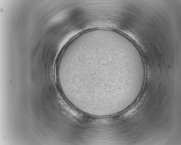 X0000059851078200511111805