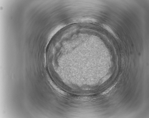 X0000059851079200511111805