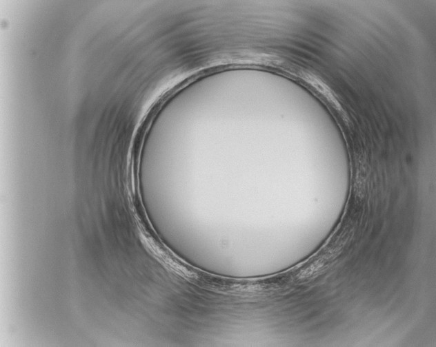 X0000059851080200511111805