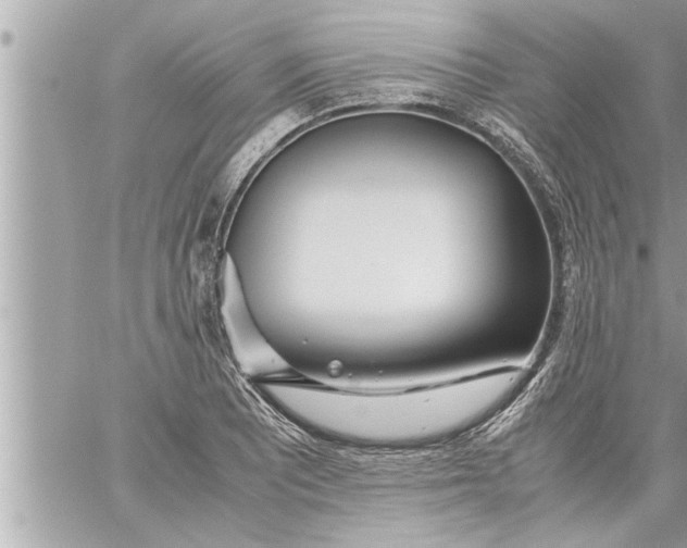 X0000059851081200511111805