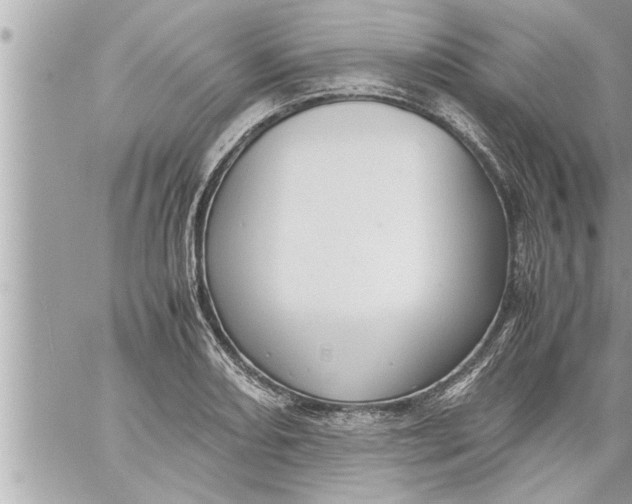 X0000059851082200511111805