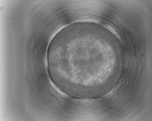 X0000059851084200511111805