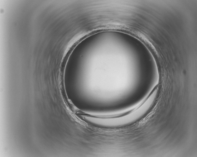 X0000059851085200511111805