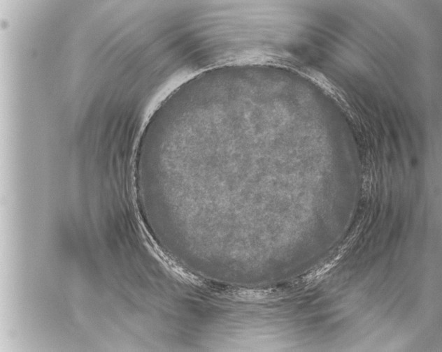 X0000059851086200511111805