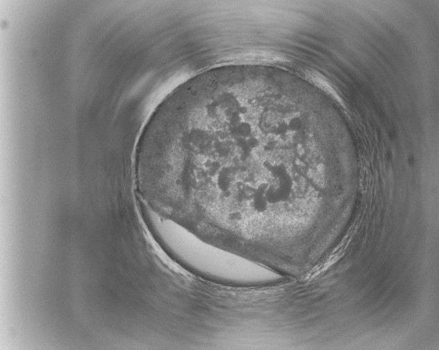 X0000059851087200511111805