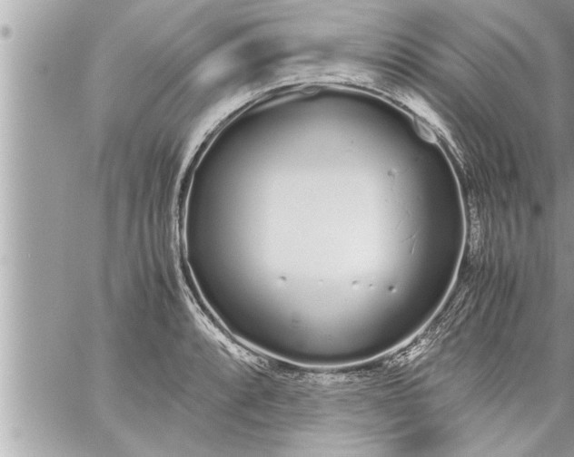 X0000059851088200511111805